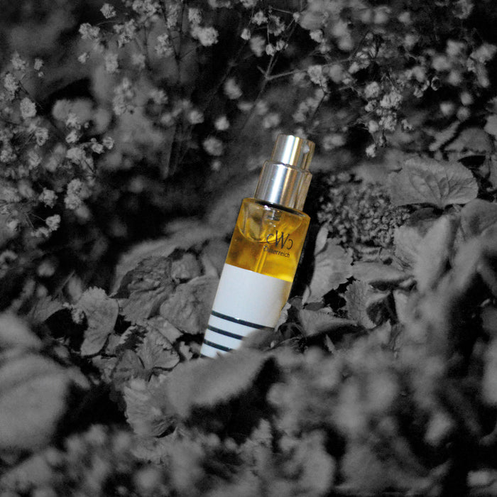 Luxurious CWC Eau de Parfum GREYFLAME, inspired by Austria's rich culture and history. A unique combination of art, culture, and history that lends this niche perfume special depth and significance.
