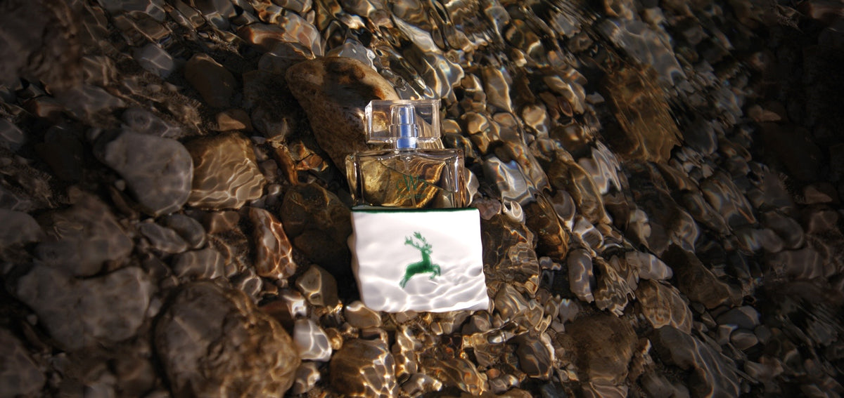 CWC GRÜNER HIRSCH am Wasser im Salzkammergut