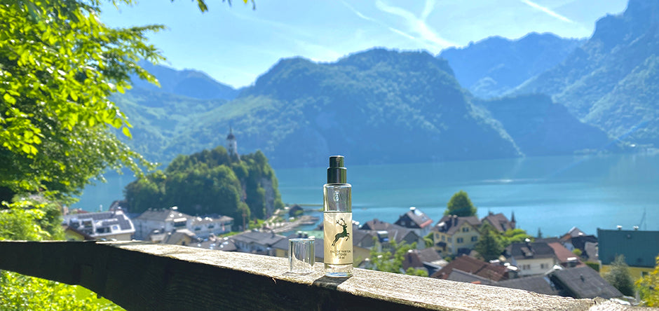 CWC GRÜNER HIRSCH am Traunsee in Traunkirchen