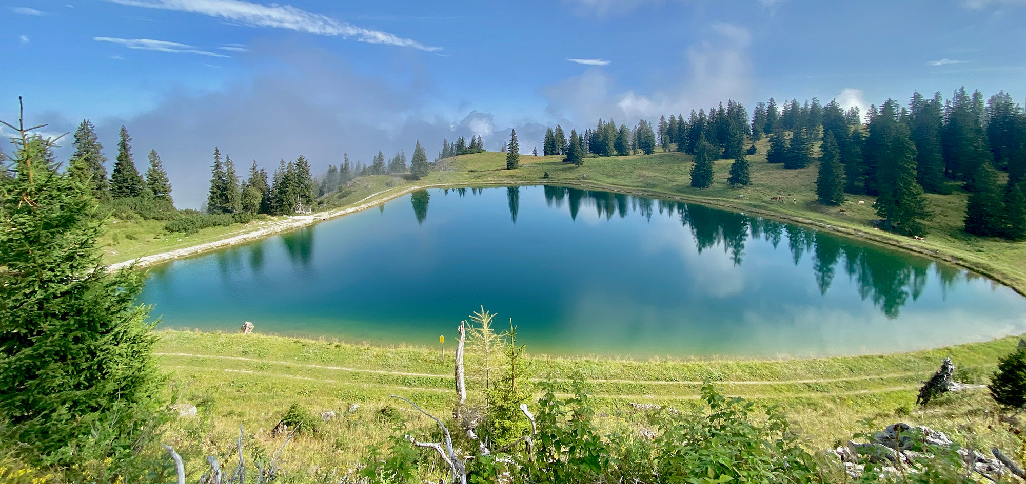 Entstehungsort der CWC Parfums: Energie tanken und Inspiration in den Bergen des Salzkammerguts, Oberösterreich.

Where the perfumes of CWC were created: Recharge and find inspiration in the mountains of the Salzkammergut, Upper Austria.